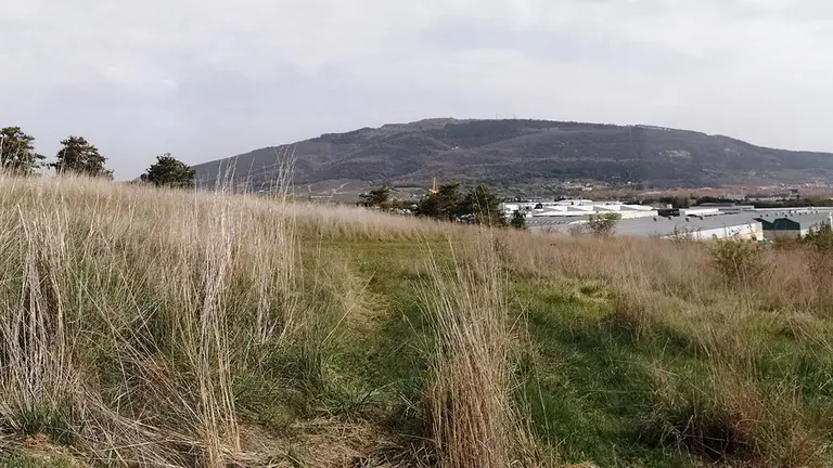 Lugar  del polígono de Agustinos donde se plantará un bosque autóctono en una parcela pública de 4,1 hectáreas. AYUNTAMIENTO DE PAMPLONA