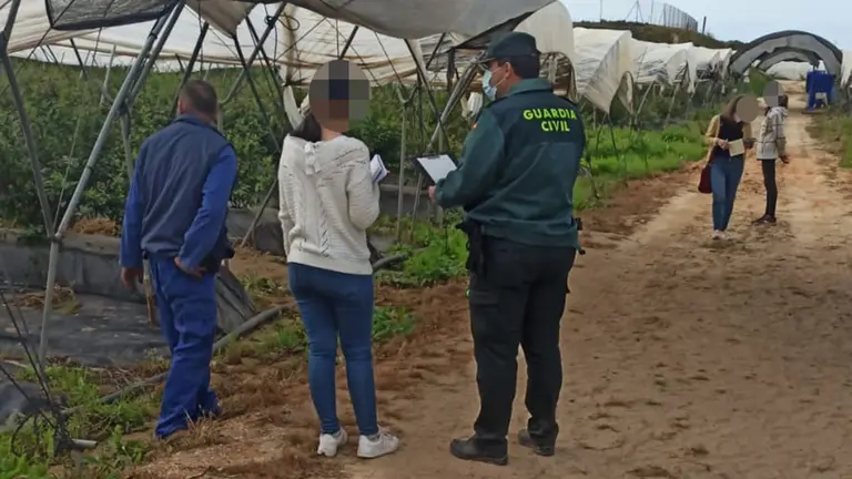La Guardia Civil ha detenido a un hombre en la Merindad de Tudela por hacer una denuncia falsa para pagar menos impuestos. GUARDIA CIVIL