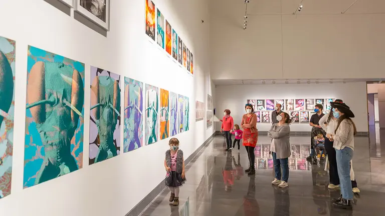 Exposición Luis Gordillo. MUN