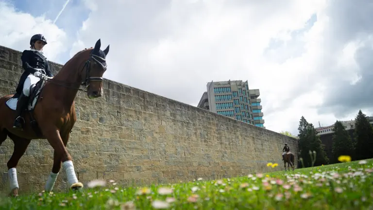 Presentación del gran premio de hípica "Las murallas de Pamplona, con la asistencia junto a los organizadores, de Sergio Álvarez Moya, top 10 en el ranking mundial, Eduardo Álvarez Aznar, quien cuenta, en su amplio palmarés, con el Gran premio copa del mundo Zurich, y Natalia Quintana campeona de España de doma paraecuestre durante varios años. MEGAN WALLS