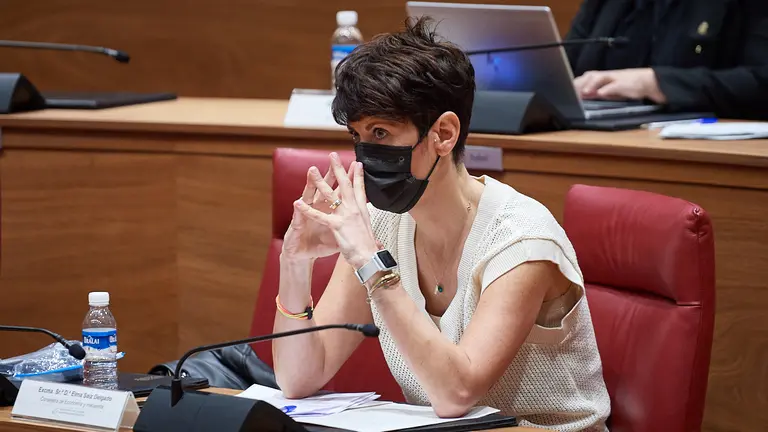 La consejera de Economia y Hacienda, Elma Saiz, durante el pleno del Parlamento de Navarra. MIGUEL OSÉS