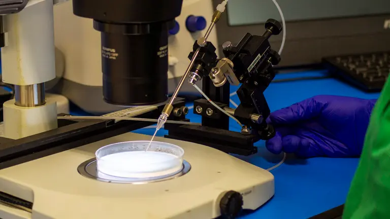 Reportaje con el el CEO de Ikan Biotech, la empresa que investiga y cría peces cebra en Navarra, en CEIN. MEGAN WALLS