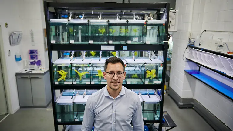 Reportaje con el el CEO de Ikan Biotech, la empresa que investiga y cría peces cebra en Navarra, en CEIN. PABLO LASAOSA