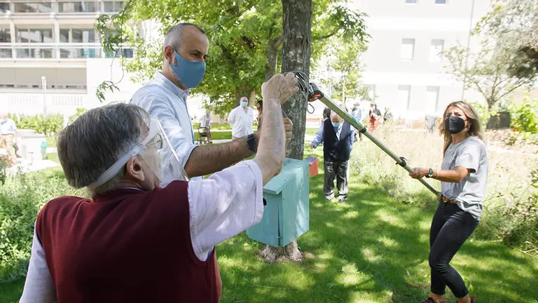 Colocación de casas-nido en la Casa Misericordia de Pamplona. AYUNTAMIENTO DE PAMPLONA