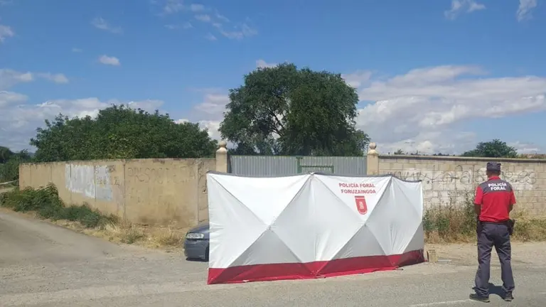 Una mujer asesinada en Murchante al ser apuñalada en un vehículo. POLICÍA FORAL