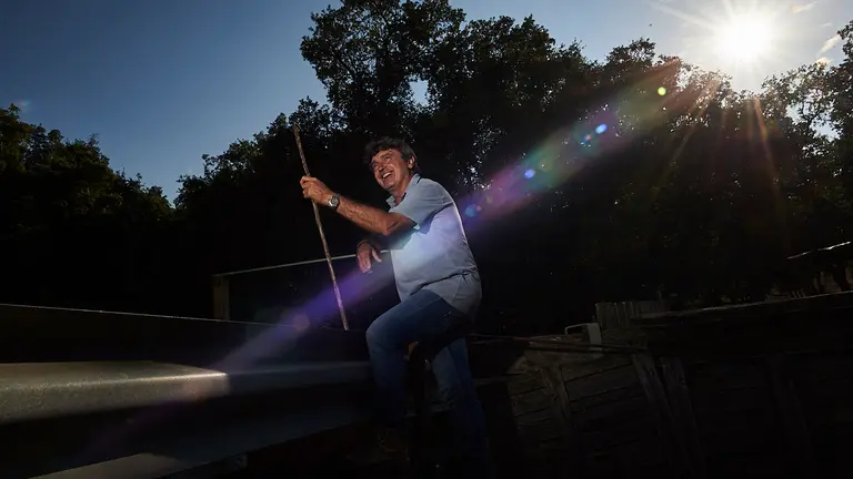 Ganader&iacute;a Reta de Casta Navarra en la finca de la Tejer&iacute;a de Grocin. PABLO LASAOSA