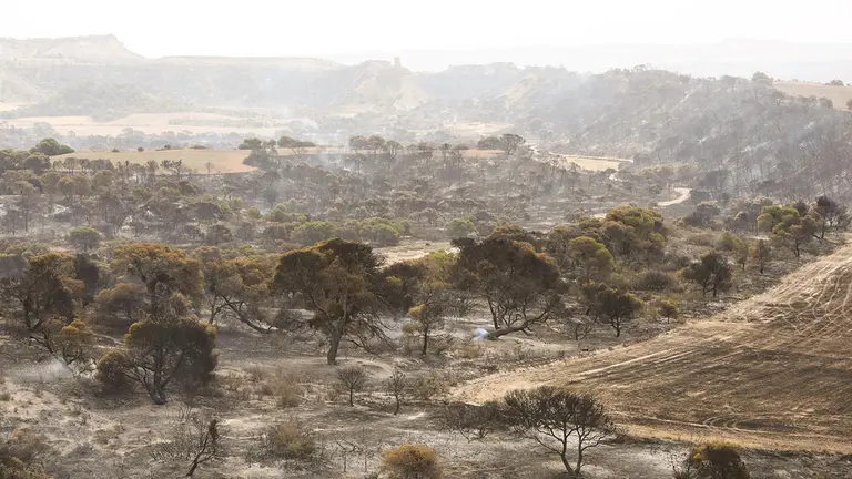 Un amplio retén de bomberos mantiene la vigilancia en la zona del Vedado de Eguaras afectada por el incendio. GOBIERNO DE NAVARRA