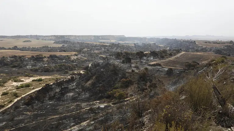 Vista aérea del Vedado de Eguaras. GOBIERNO DE NAVARRA