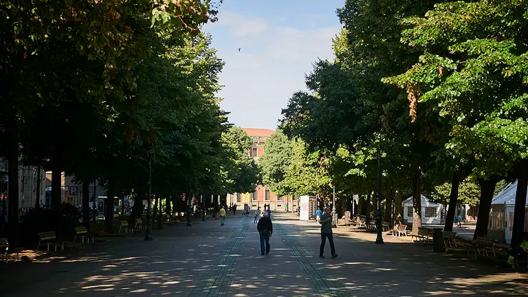 Paseo Sarasate de Pamplona. PABLO LASAOSA