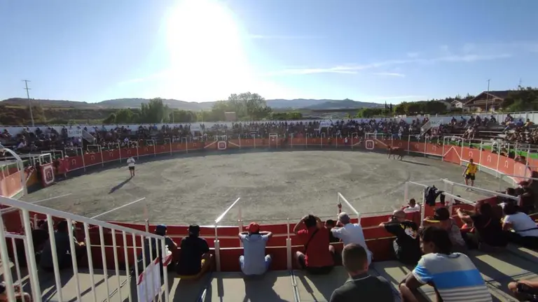 Puente la Reina celebra una feria taurina tras el parón por la pandemia. ARCHVIO
