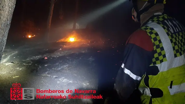 Incendio en un pinar en Milagro. BOMBEROS DE NAVARRA