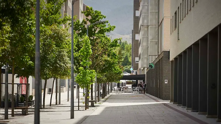 Calle Bardenas Reales de Sarriguren. PABLO LASAOSA