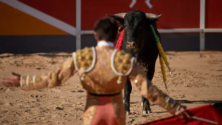 Novillada sin picadores en San Adrián con animales de la ganadería de Los Maños para Nabil "El Moro" y Fabio Jiménez. MIGUEL OSÉS