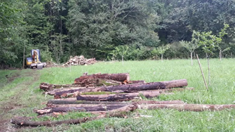 Mantenimiento y conservación de las inmediaciones de Vera de Bidasoa. DELEGACIÓN DE GOBIERNO