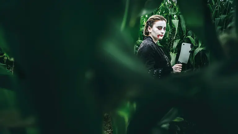 Nuevo Laberinto vegetal. SENDAVIVA