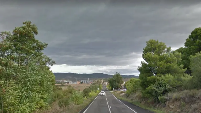 Carretera N-128, a la altura de Carcastillo, en la que se ha producido el atropello mortal de un vecino de Mendavia. ARCHIVO