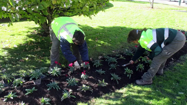Plantación de parterres de otoño en Pamplona. AYUNTAMIENTO DE PAMPLONA