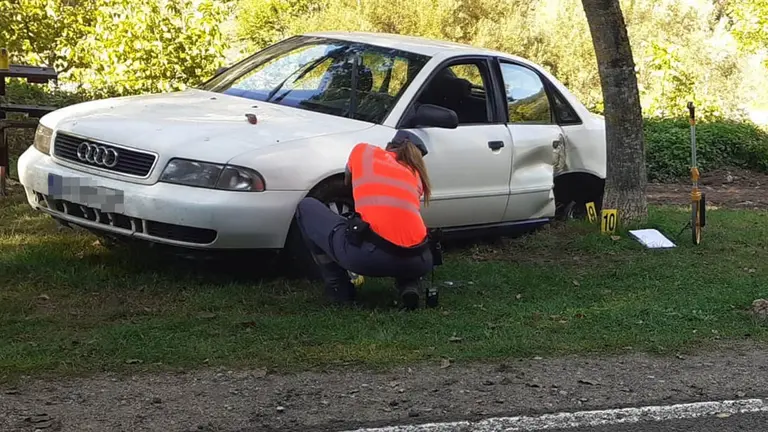 Vehículo accidentado en Abárzuza. POLICÍA FORAL