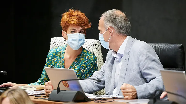 Los parlamentarios de EH Bildu Bakartxo Ruiz y Adolfo Araiz durante el pleno del Parlamento. PABLO LASAOSA