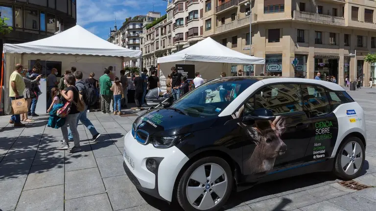 Una actividad organizada por el Museo Universidad de Navarra. UNIVERSIDAD DE NAVARRA