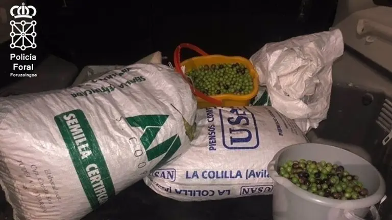 Material incautado en el interior de la furgoneta. POLICÍA FORAL
