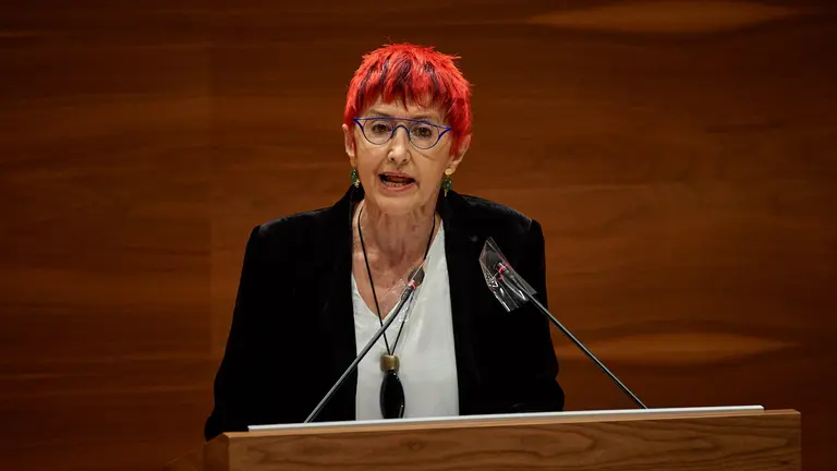 La consejera de salud, Santos Indurain, habla en el atril del pleno parlamentario. MIGUEL OSÉS