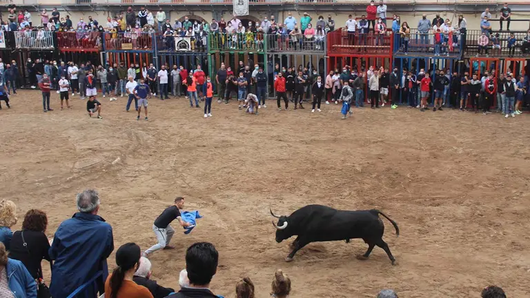 Imagen de bous al carrer AYUNTAMIENTO DE NULES