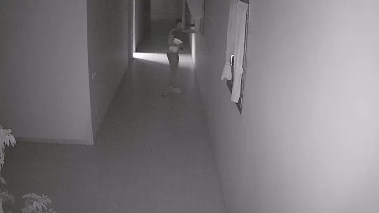 Imagen de las cámaras de seguridad del detenido accediendo a la bodega. GUARDIA CIVIL