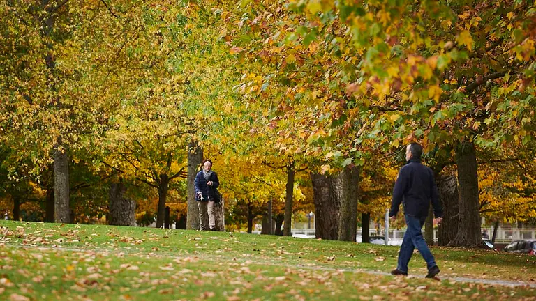 Una persona camina por la Vuelta del Castillo de Pamplona en una mañana de otoño. PABLO LASAOSA