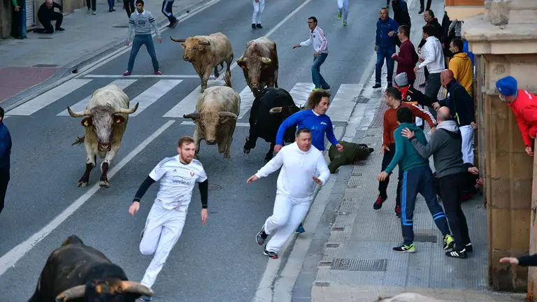 Primer encierro de las Ferias de Tafalla de 2021 con toros de Prieto de la Cal. PABLO LASAOSA