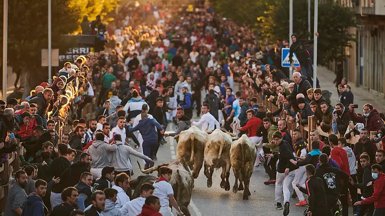Primer encierro de las Ferias de Tafalla 2021 con toros de Prieto de la Cal. PABLO LASAOSA