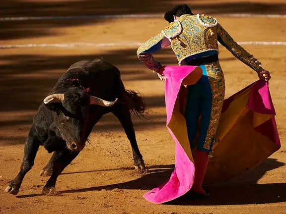 Novillada de las Ferias de Tafalla a cargo de Hermanas Azcona lidiada por Diego garcía, Clemente Jaume y Nabil ‘El Moro’. PABLO LASAOSA