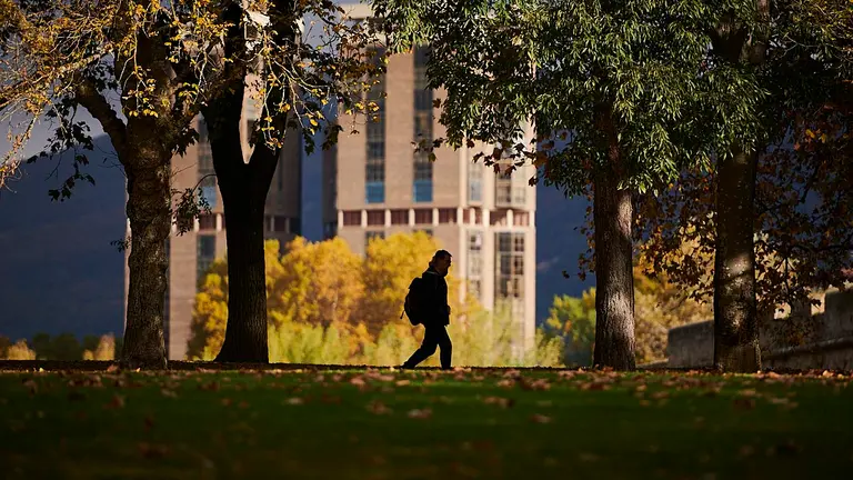 Una persona camina por la Vuelta del Castillo de Pamplona en una mañana de otoño. PABLO LASAOSA