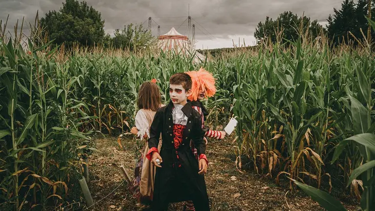 Imagen del Laberinto vegetal. SENDAVIVA