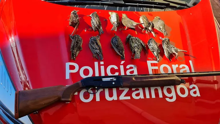 Arma y piezas abatidas incautadas por la Polic&iacute;a Foral - POLIC&Iacute;A FORAL