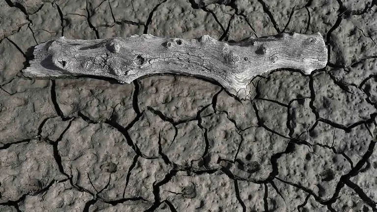 La ausencia de lluvias en la Comunidad foral comienza a cuartear la tierra del pantano de Yesa. EFE/Jesús Diges