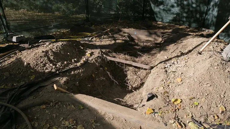 Imagen de la cata en los árboles del Paseo de Sarasate. - AYUNTAMIENTO DE PAMPLONA