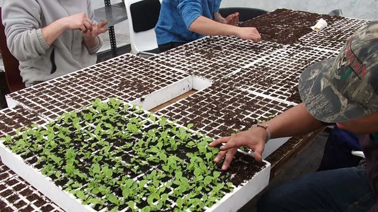 Uno de los trabajos de la asociación Lantxotegi Elkartea, en Berriozar. LANTXOTEGI ELKARTEA