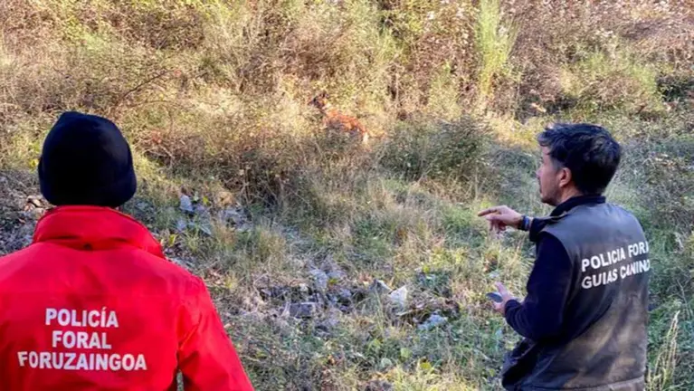 Agentes de la Polic&iacute;a Foral han participado en la b&uacute;squeda de la mujer de 84 a&ntilde;os desaparecida en Lanz desde el jueves por la tarde. POLIC&Iacute;A FORAL