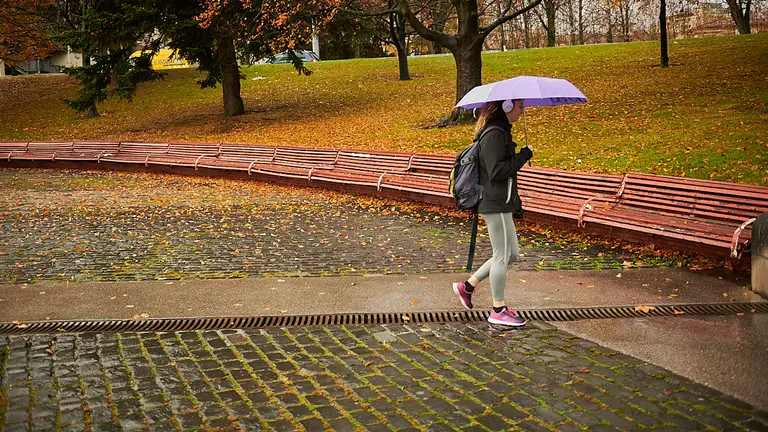 Cambio de los bancos de la Plaza de los Fueros de Pamplona. PABLO LASAOSA