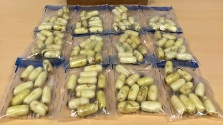 Droga incautada a un varón en el Hospital de San Sebastián. ERTZAINTZA