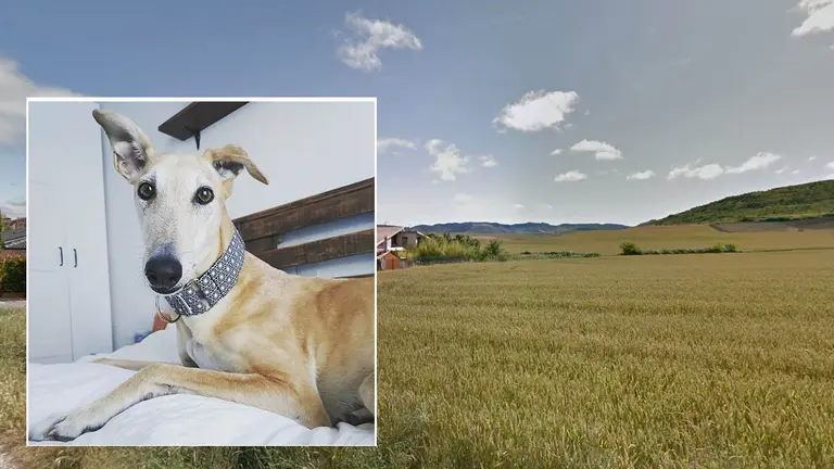 Tajonar y su sierra. ARCHIVO / INSTAGRAM