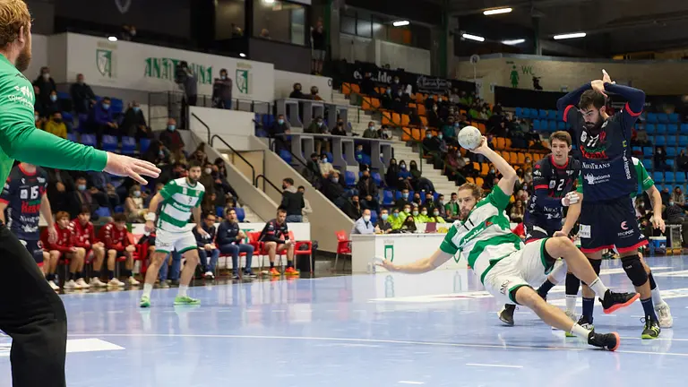 Partido de la liga Asobal entre Helvetia Anaitasuna y Viveros Herol Nava disputado en Pamplona. IÑIGO ALZUGARAY