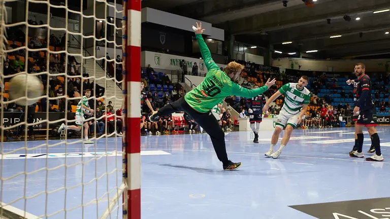 Partido de la liga Asobal entre Helvetia Anaitasuna y Viveros Herol Nava disputado en Pamplona. IÑIGO ALZUGARAY