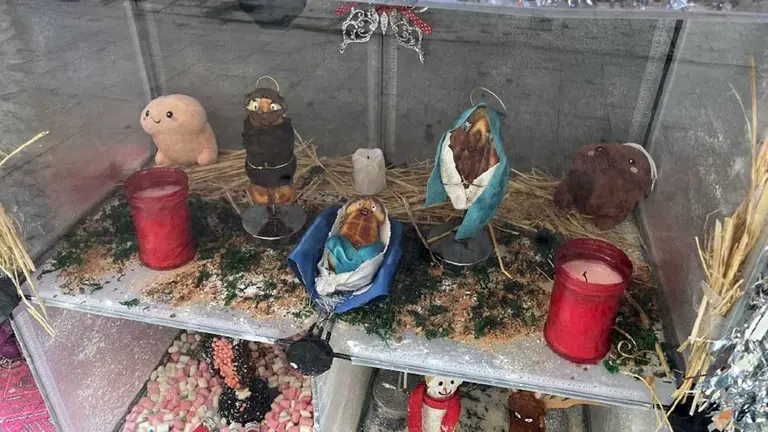 Belén colocado en el escaparate de la Verguería. ubicada en la calle Comedias, elaborado con figuras de genitales. CEDIDA