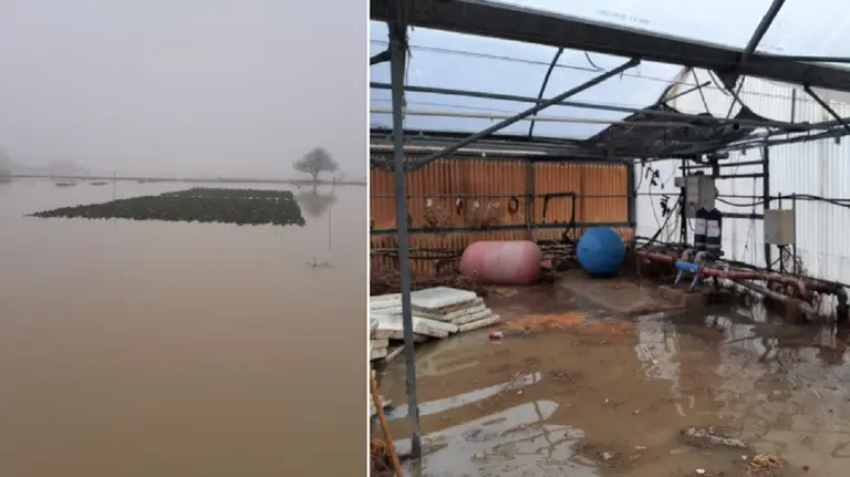 Destrozos en el campo de ensayo de INTIA en Cadreita por la riada. CEDIDA