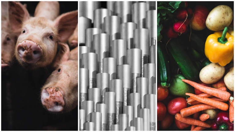 Los tres proyectos empresariales de Navarra que el Gobierno considera fundamentales. ARCHIVO