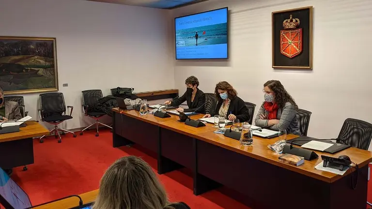 Representantes de la asociación Hiru Amabi, en la sesión de trabajo parlamentaria. HIRU AMABI