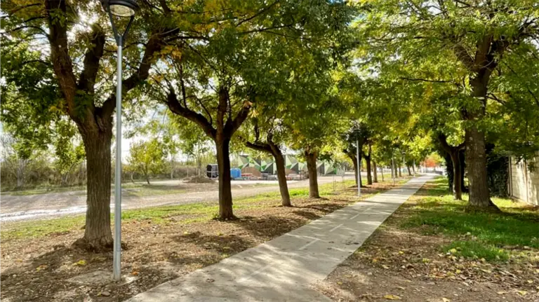 Uno de los tramos iluminados del carril bici de Falces. GOBIERNO DE NAVARRA