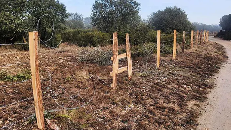 Alambre cortado en el cercado instalado en el Monte Plano de Tafalla. AYUNTAMIENTO DE TAFALLA